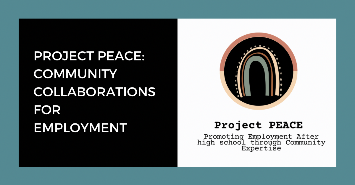 Project Peace Graphic